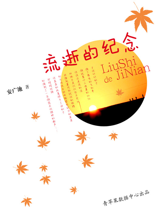 Cover image for 流逝的纪念
